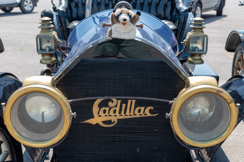 Illustration for article titled Horseless Carriages Visit Our Museum